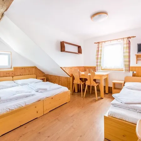 Cerny Vlk Guest house Kvilda
